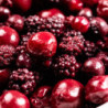 Fruits rouges au sirop léger 120 g - Maison Borde