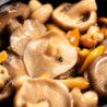 Champignons au condiment Balsamico (Gamme Prestige) - Maison Borde