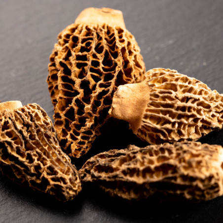 Morilles lyophilisées (6 g) - Maison Borde