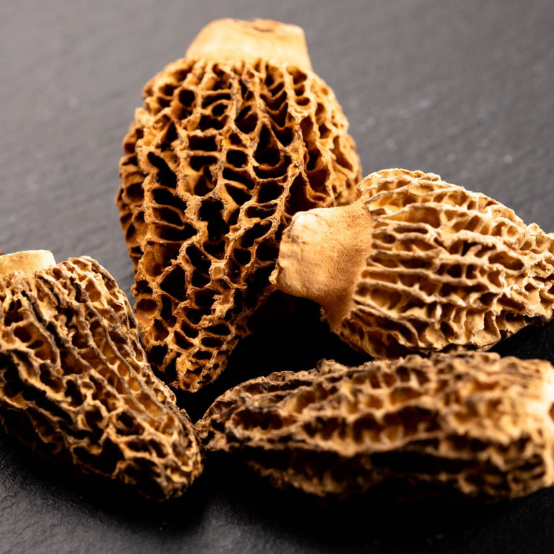 Morilles lyophilisées (30 g) - Maison Borde