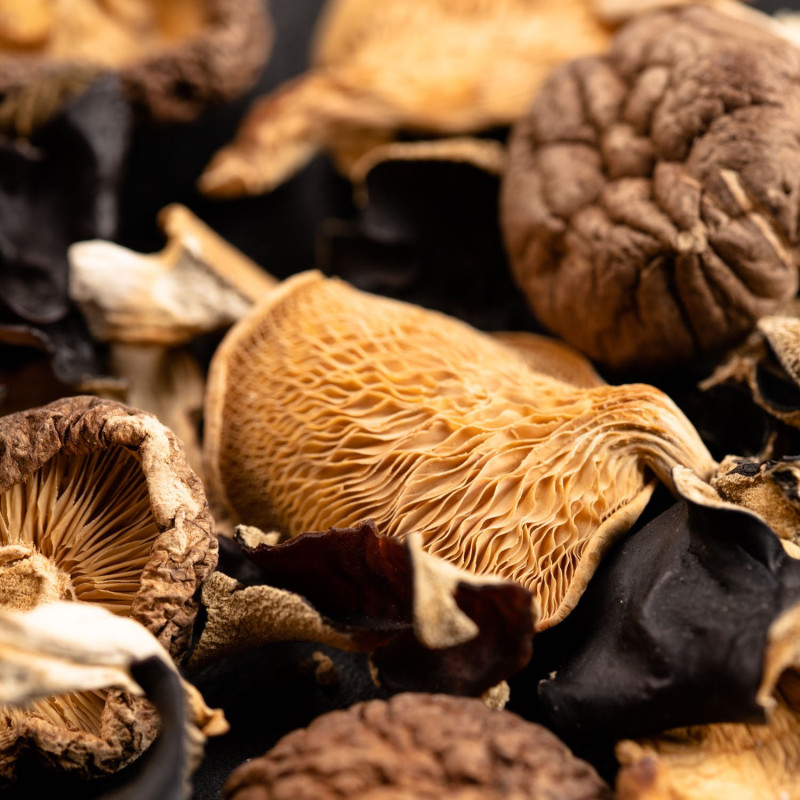 Mélange de champignons asiatiques séchés (Gamme asiatique) - Maison Borde