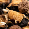 Mélange de champignons asiatiques séchés (Gamme asiatique) - Maison Borde