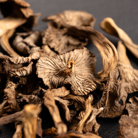 Chanterelles grises de France séchées 15 g - Maison Borde