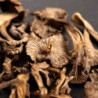 Chanterelles grises de France séchées 15 g - Maison Borde