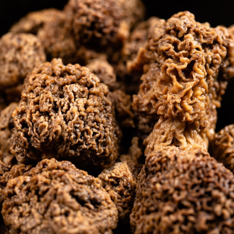 Morilles en bocal "Roi des Montagnes" 150 g - L'atelier Borde