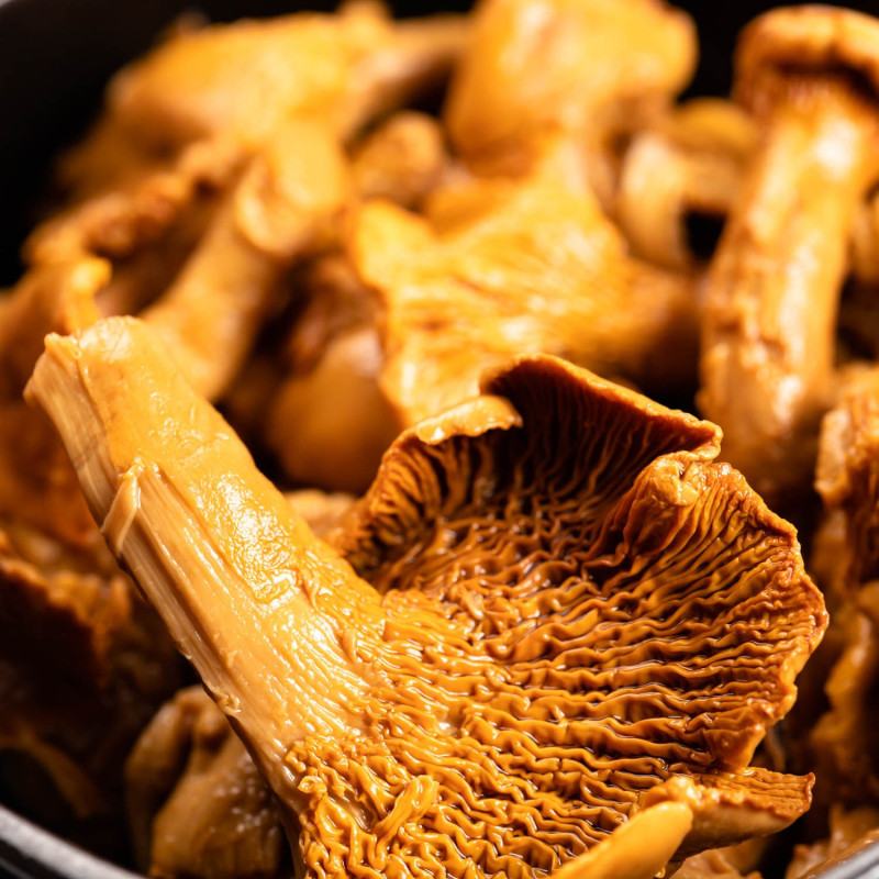 Girolles au vinaigre "Roi des Montagnes" en bocal 175 g - L'atelier Borde
