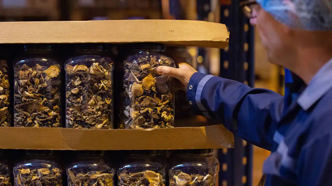 500g jars of dried mushrooms