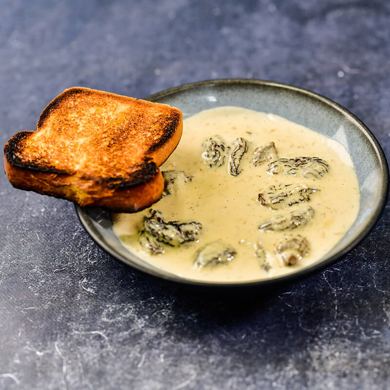 Morels with toast