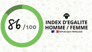 Index d'égalité professionnelle 2025