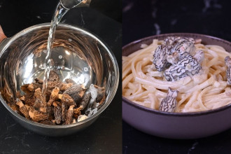 How to choose, use and store our mushrooms to bring out their full flavour (with video tutorials)?